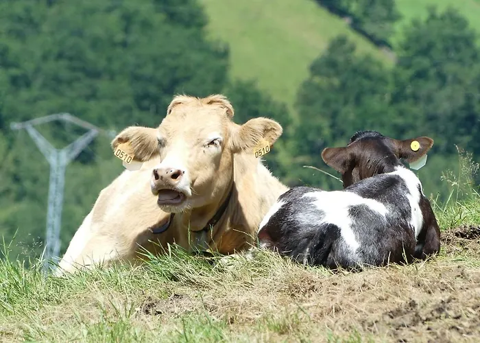 Country house Pasiega Lugas *